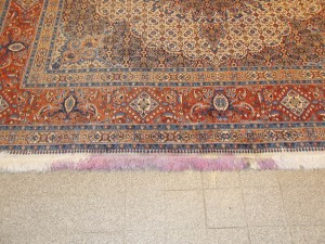 <SAMSUNG DIGITAL CAMERA>